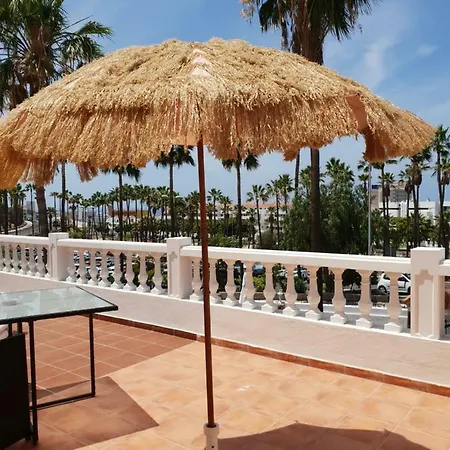 Casa Domvs בית הארחה 3*