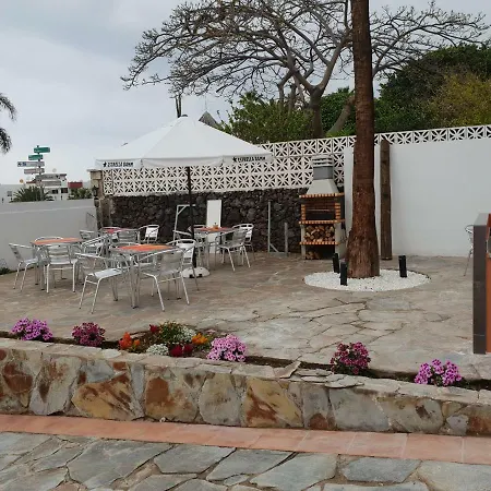 בית הארחה Casa Domvs 3*